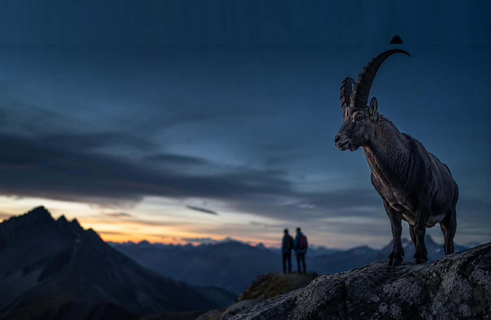 Steinbock auf einem Felsvorsprung, dahinter zwei Bergsteiger vor einem Bergpanorama im Sonnenaufgang